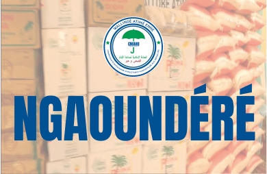 Distribution Ngaoundéré